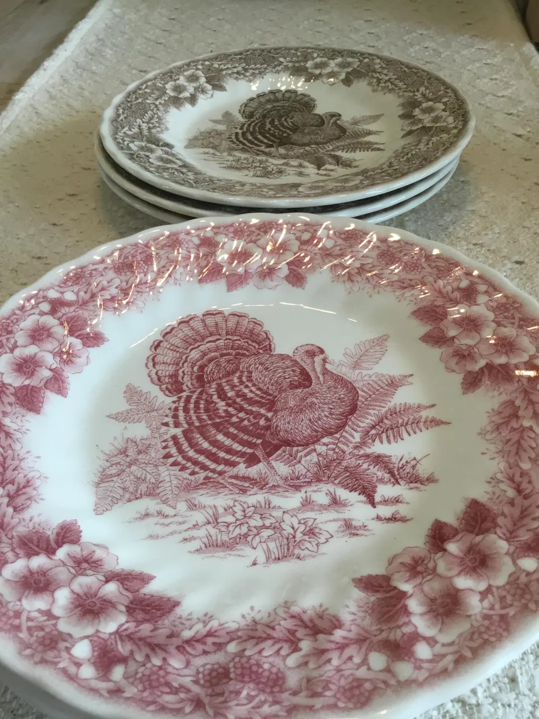 Queens Thanksgiving Turkey Plates 8” Red Brown Myott Factory - Etsy | Etsy (US)