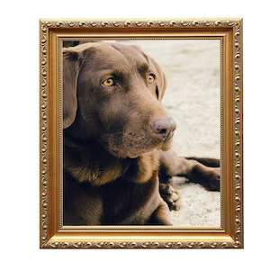 Antique Gold Picture Frame Ornate Photo Frames Custom Size | Etsy | Etsy (US)