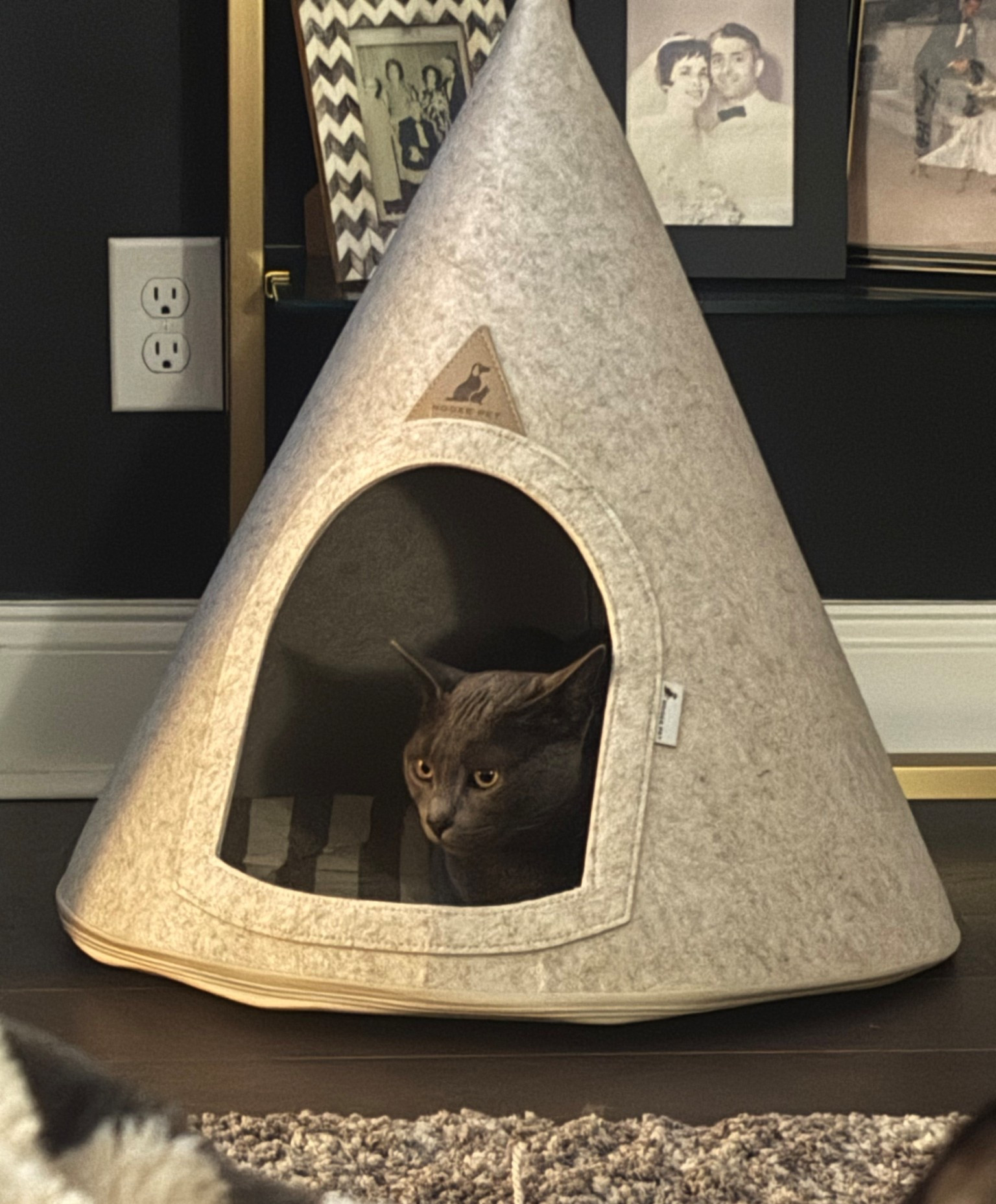 My cats adore this little cave.  It is such high quality with a little bed inside.  The  zippered construction allows for easy assembly and cleaning, including the interior

#LTKGiftGuide #LTKHome