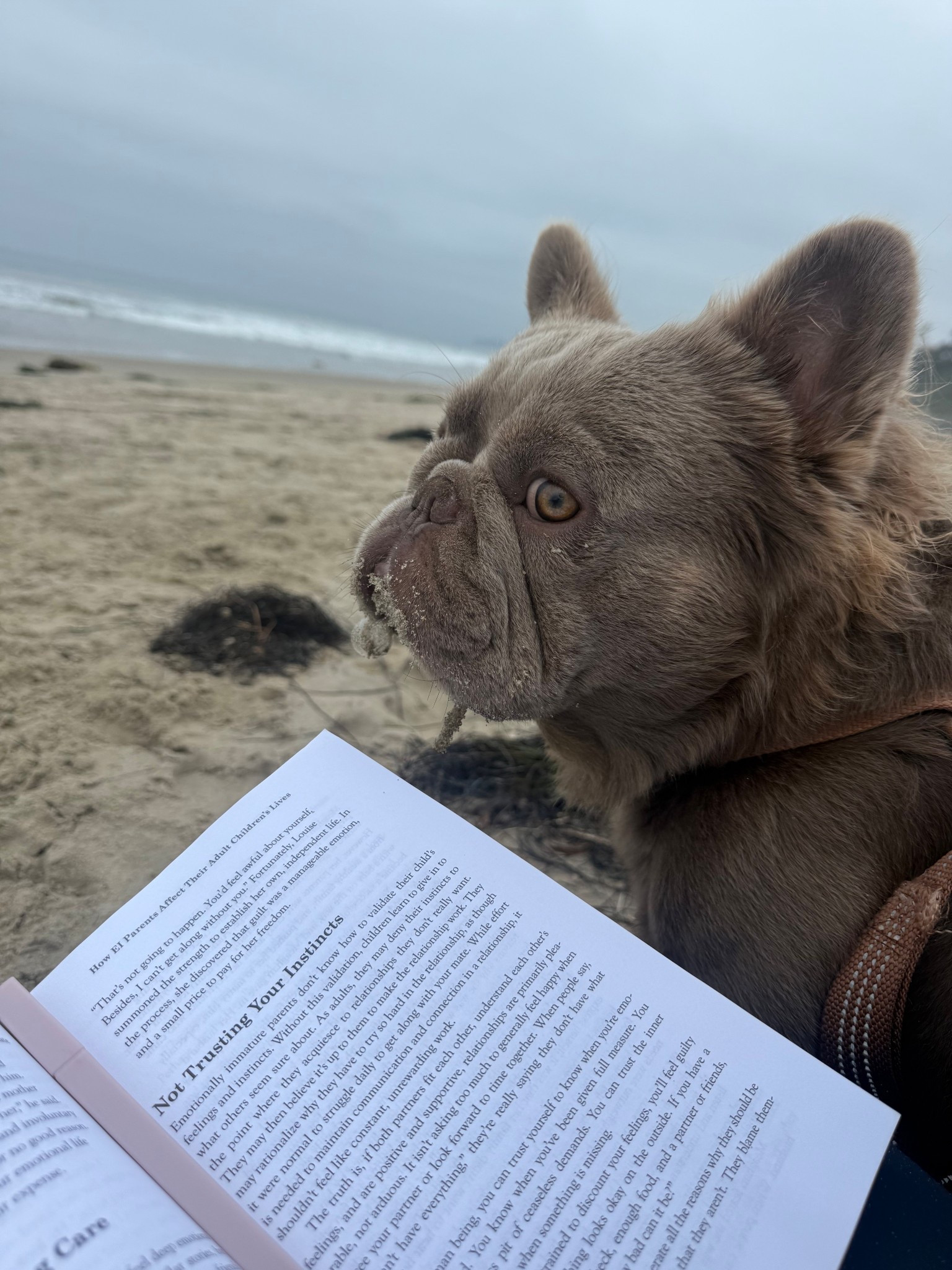 This months read 📖 #selfhelpbook #growth #selflove #mindset #books 