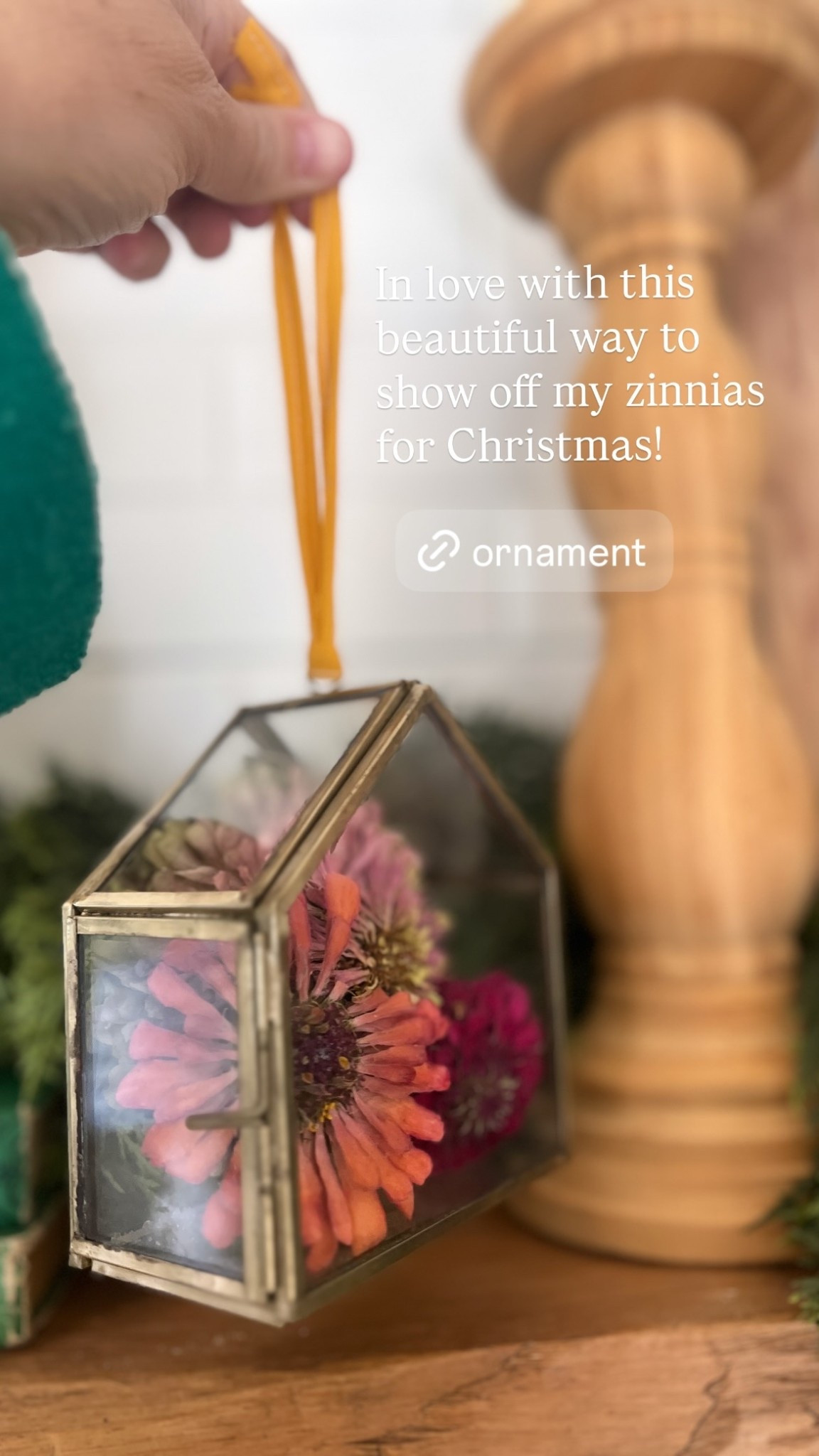 In love with this beautiful way to show off my zinnias for Christmas!

#LTKSeasonal #LTKGiftGuide #LTKHoliday