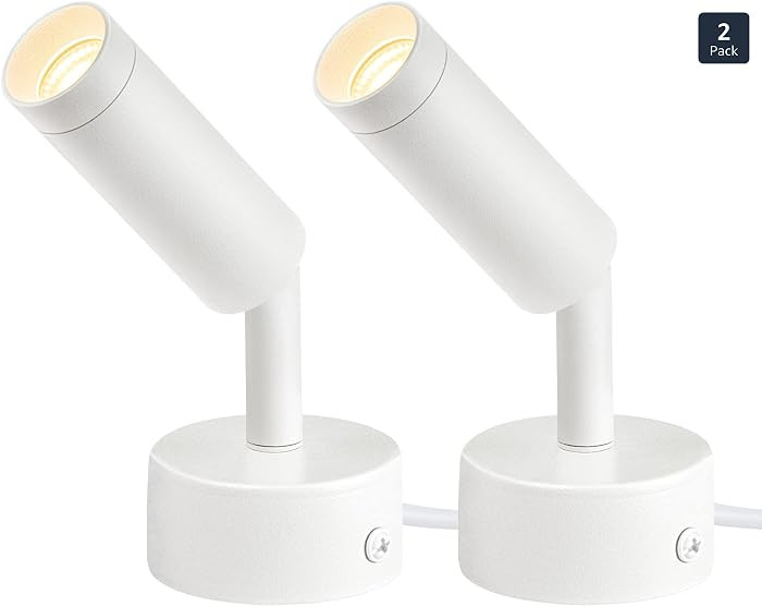 2 Pack Indoor Spot Lights, 120V LED Accent Up Lights, 3W Plant Spotlights, 3000K Floor Spotlights... | Amazon (US)