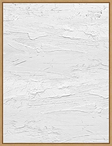 Framed Canvas Wall Art Print | Home Wall Decor Canvas Art | Textured on White I by Sofia Gordon |... | Amazon (US)