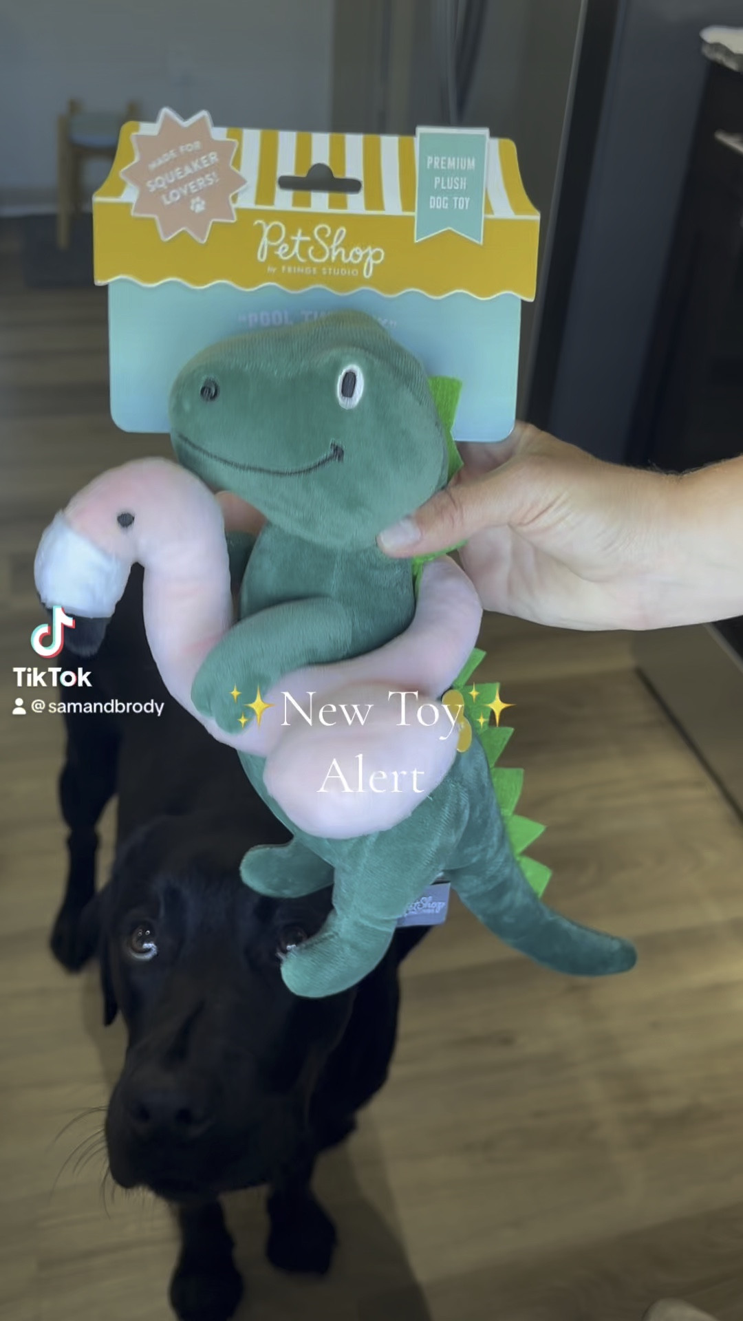 The cutest new summer toy! 

#LTKxTarget