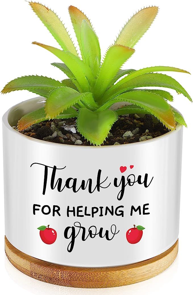 Christmas Plant Pot for Women Men Teacher Nurse Mother Ceramic Succulent Plant Pot Mini Succulent... | Amazon (US)