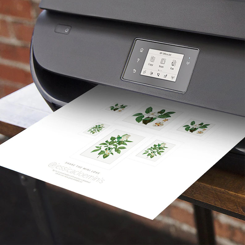 Vintage Botanical Illustrations Art Printables 1/12 Dollhouse Miniature Modern 1:12 Download 8.5 ... | Etsy (US)