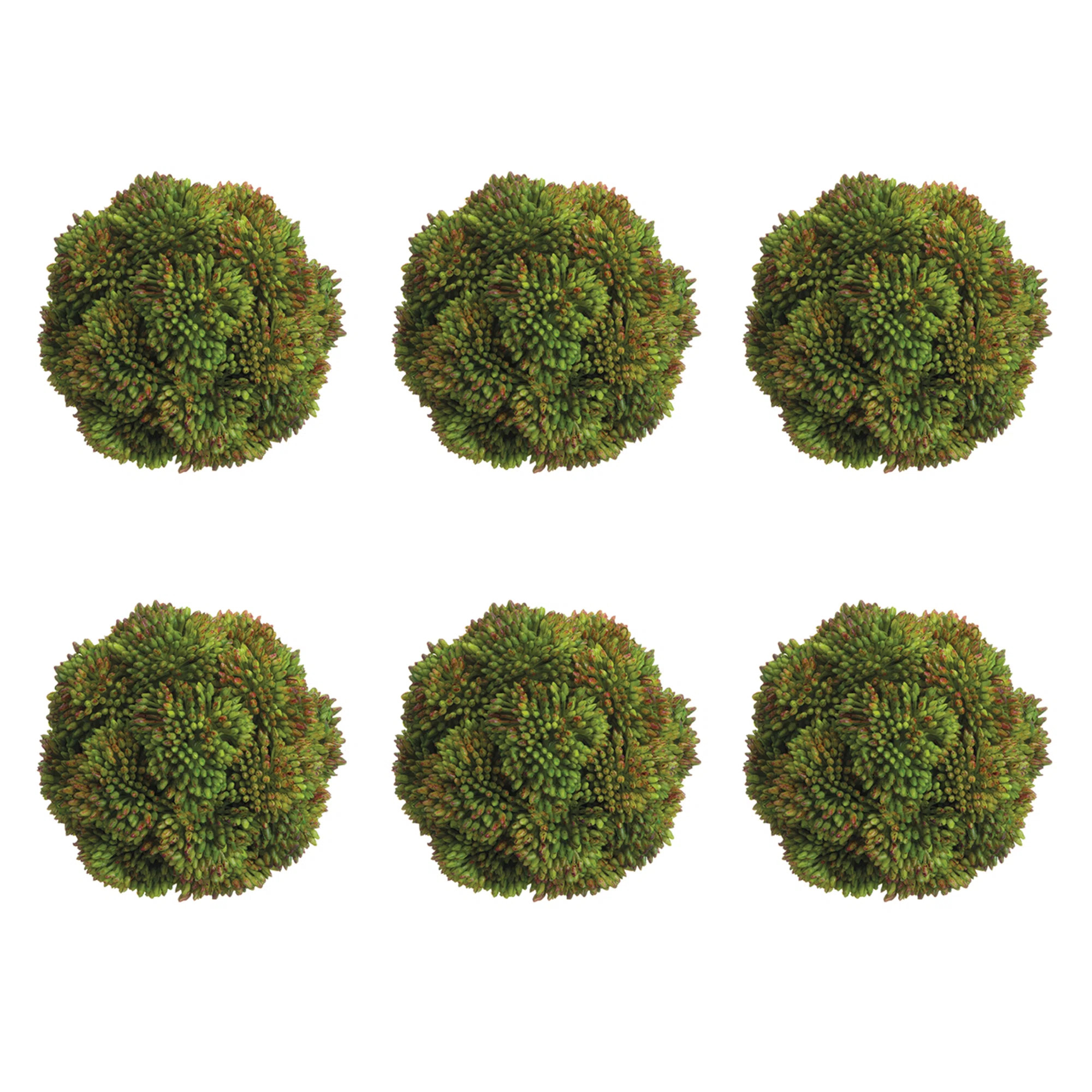 Primrue Decorative Sedum Balls & Reviews | Wayfair | Wayfair North America