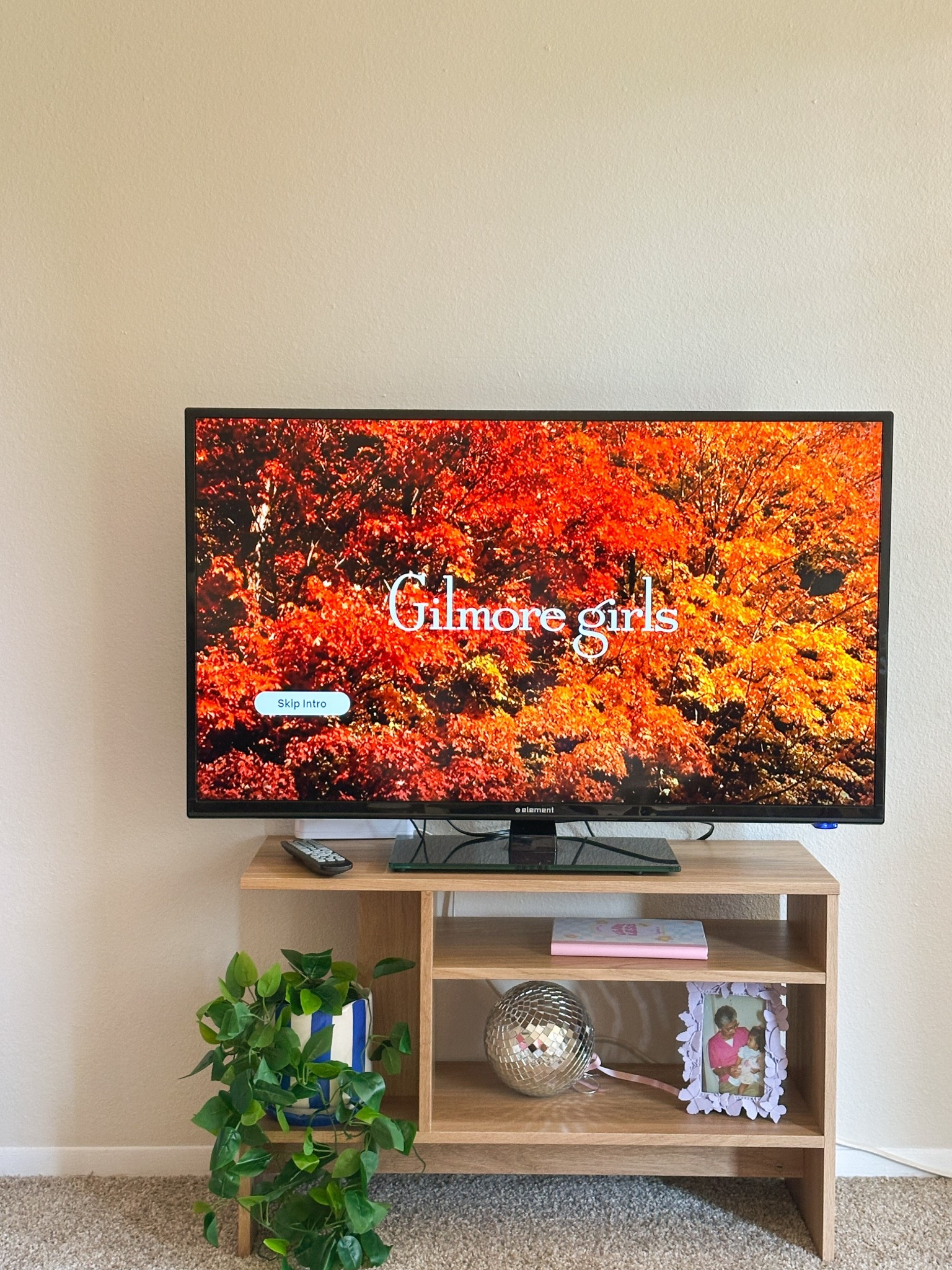 Tv set up 🪴🪩

#LTKHome #LTKFindsUnder50