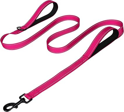 Joytale Dog Leash Heavy Duty for Large Dogs That Pull, Double Handle for Traffic Control, Double-... | Amazon (US)
