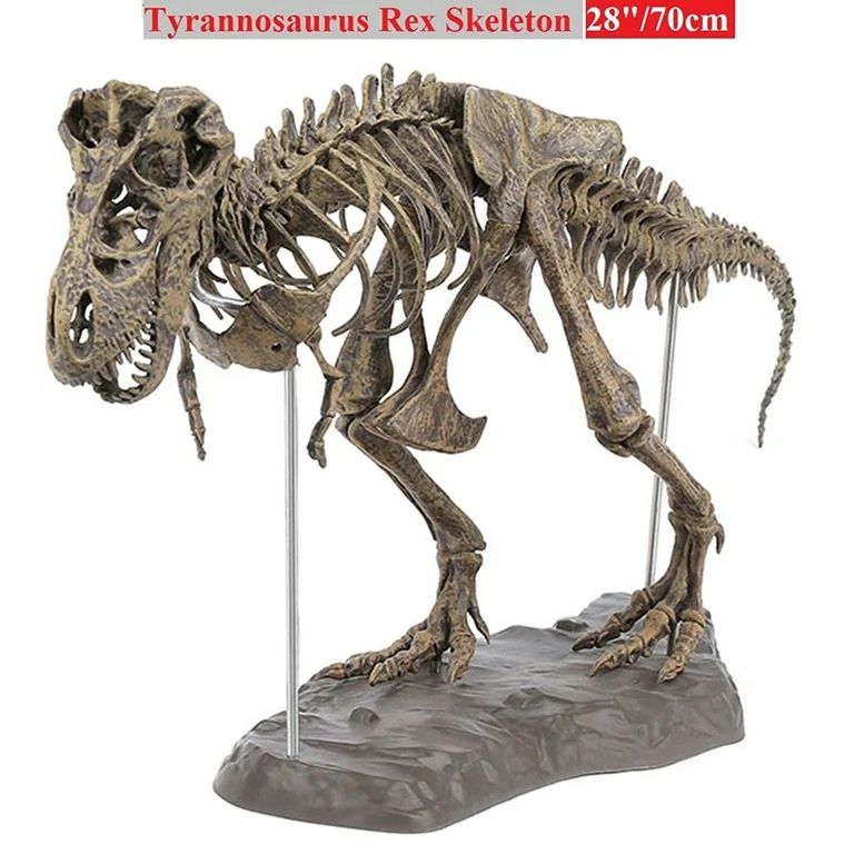 Tyrannosaurus Rex Skeleton Dinosaur Animal Collector Decor Model Toy | Walmart (US)