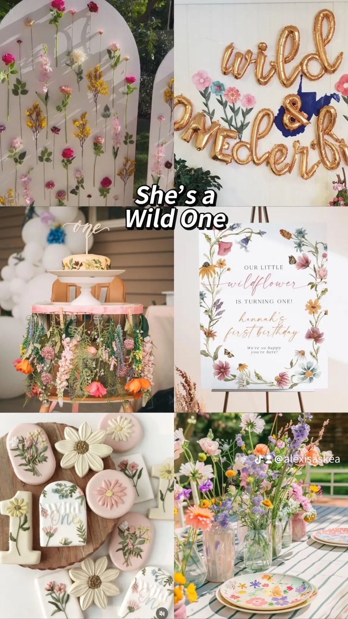 She’s a Wild One 🌸 Which first birthday theme should I choose for my daughter’s birthday party? #OneYearOld #BabyGirlParty #FirstBirthday #LTKmomlife 

#LTKBaby #LTKKids