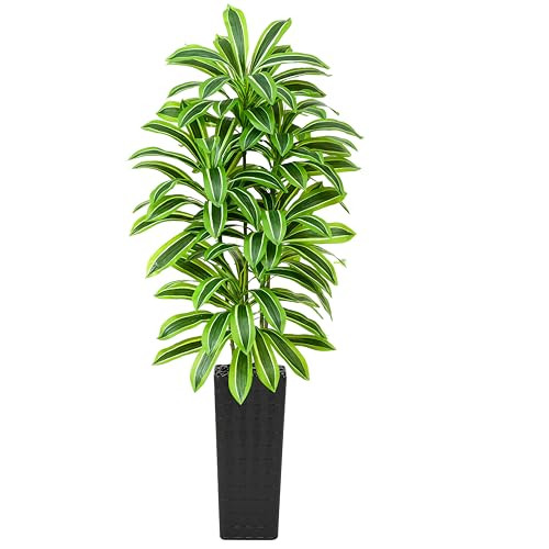 TNGGNT Artificial Dracaena Tree：7FT Faux Silk Tropical Yucca Floor Trees Realistic Fake Green Plant with Natural Wood Trunk & Lifelike Leaves for Home Office Decor Indoor & Outdoor (7FT,1-Pack,Black) | Amazon (US)