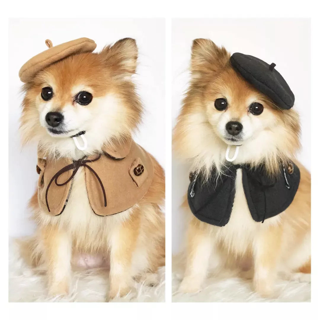 Dog beret clearance hat