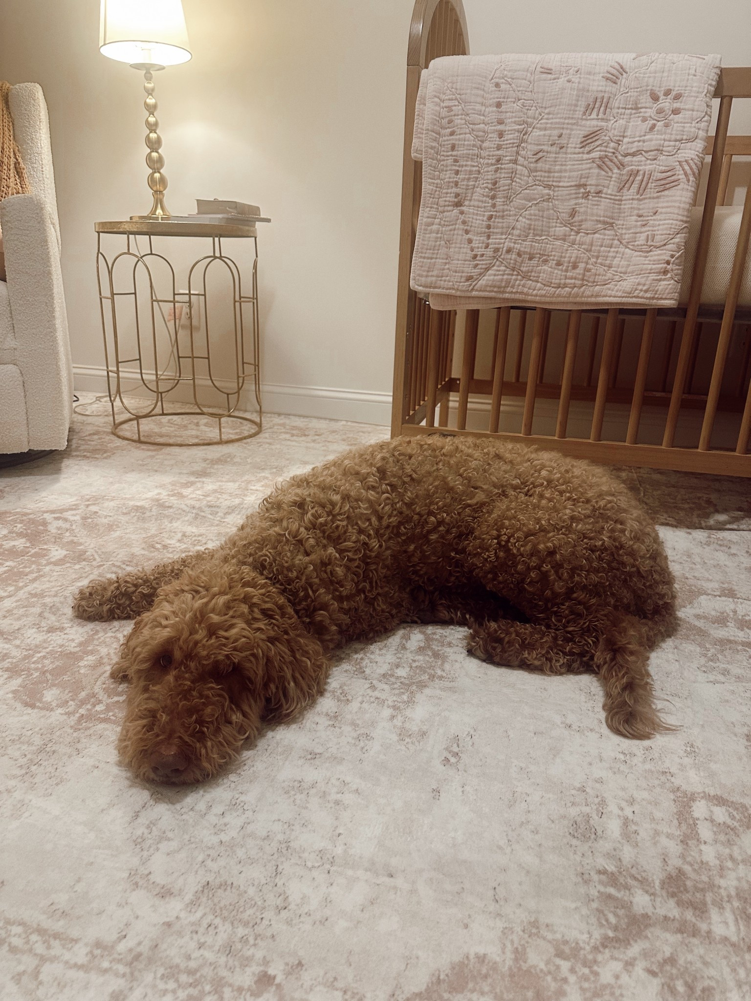 mr. ben enjoying “his” new rug as he thinks 🤣 little does he know he’s got a little sister on the way! 

Neutral nursery rug ✨ 8x10 and only $81! Not perfectly centered thanks to the angled door, but knowing we’re moving soon makes it a win for now + later 🤍🤭🛒

#LTKdayinmylife #LTKBaby #LTKKids