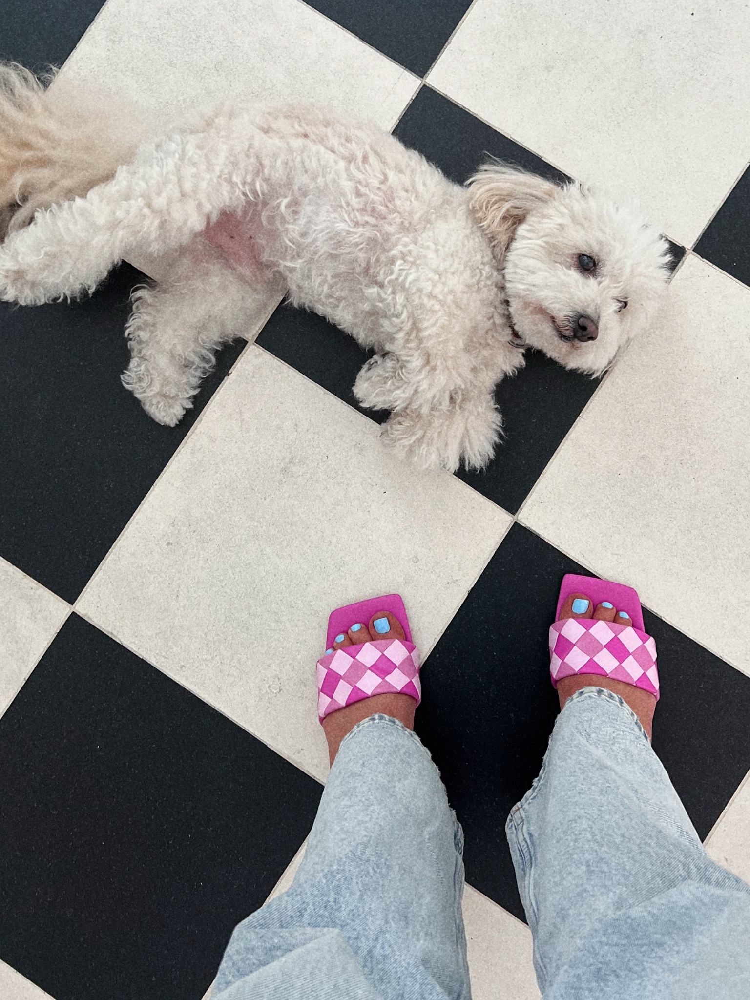 work shoes of the day - July 26, 2024

Style tip - ALWAYS dress up denim by adding a cute pop of color in the form of a heel

#LTKShoeCrush #LTKStyleTip #LTKWorkwear