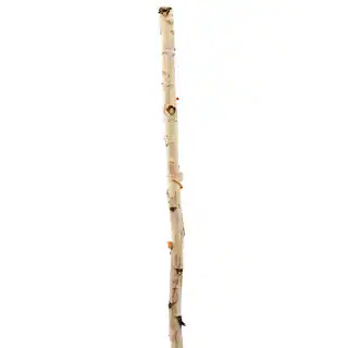 Ashland® Natural River Birch | Michaels Stores