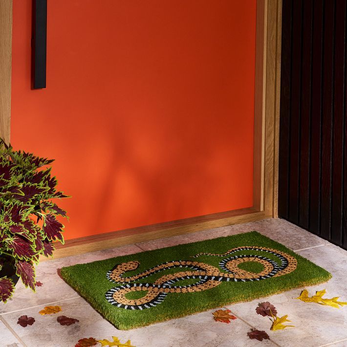 Serpent Doormat | West Elm (US)