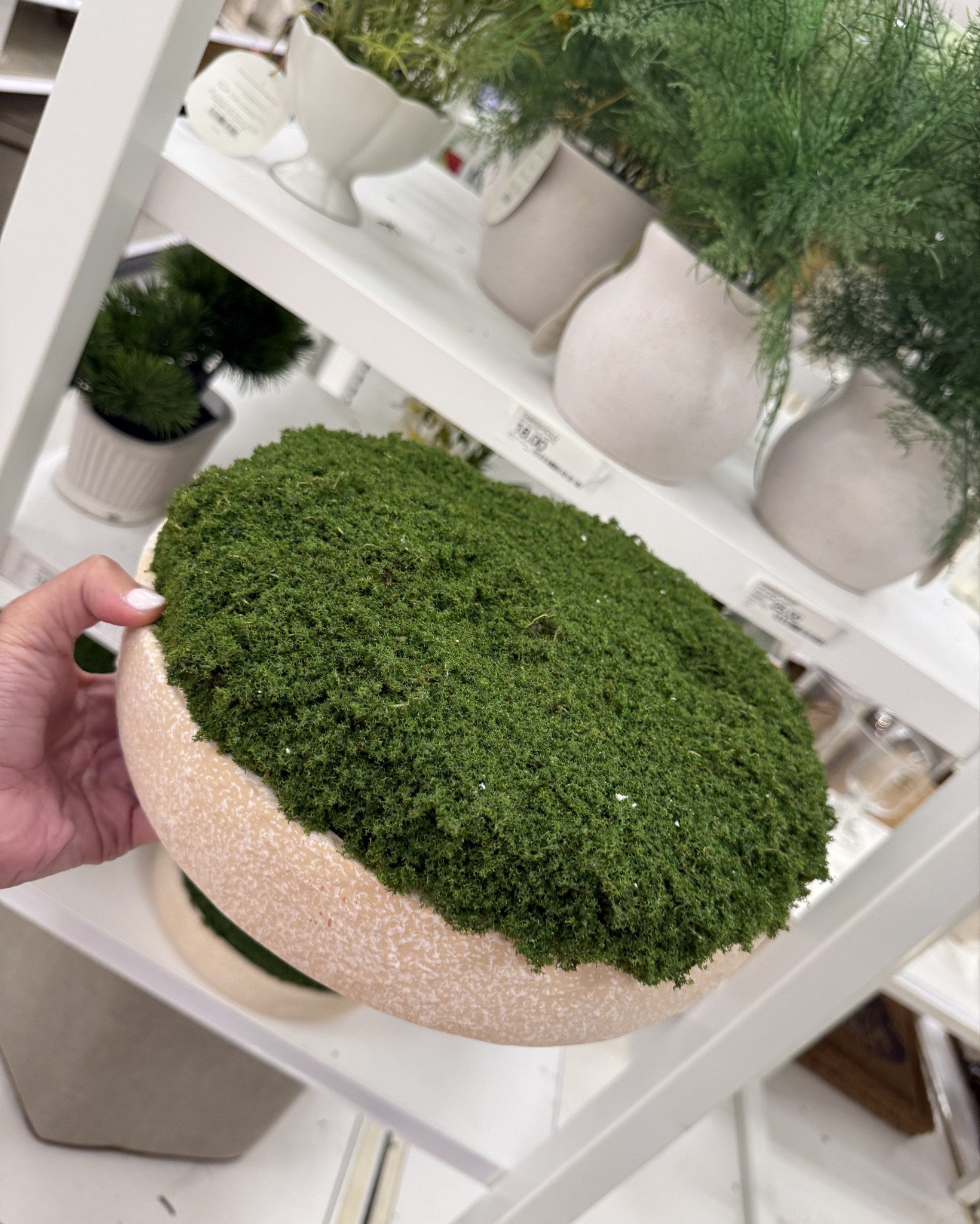 What was supposed to be a quick tar-jay run turned into some amazing home finds!! Too good not to share! ￼

#LTKHome #LTKmomlife #LTKdayinmylife