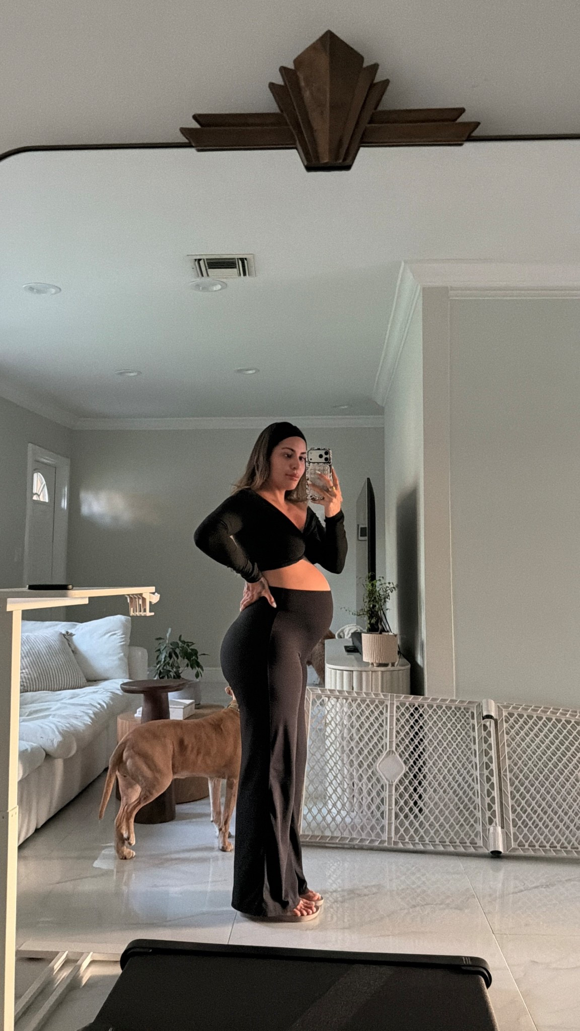 I could live in these pants 

#LTKPetite #LTKBump