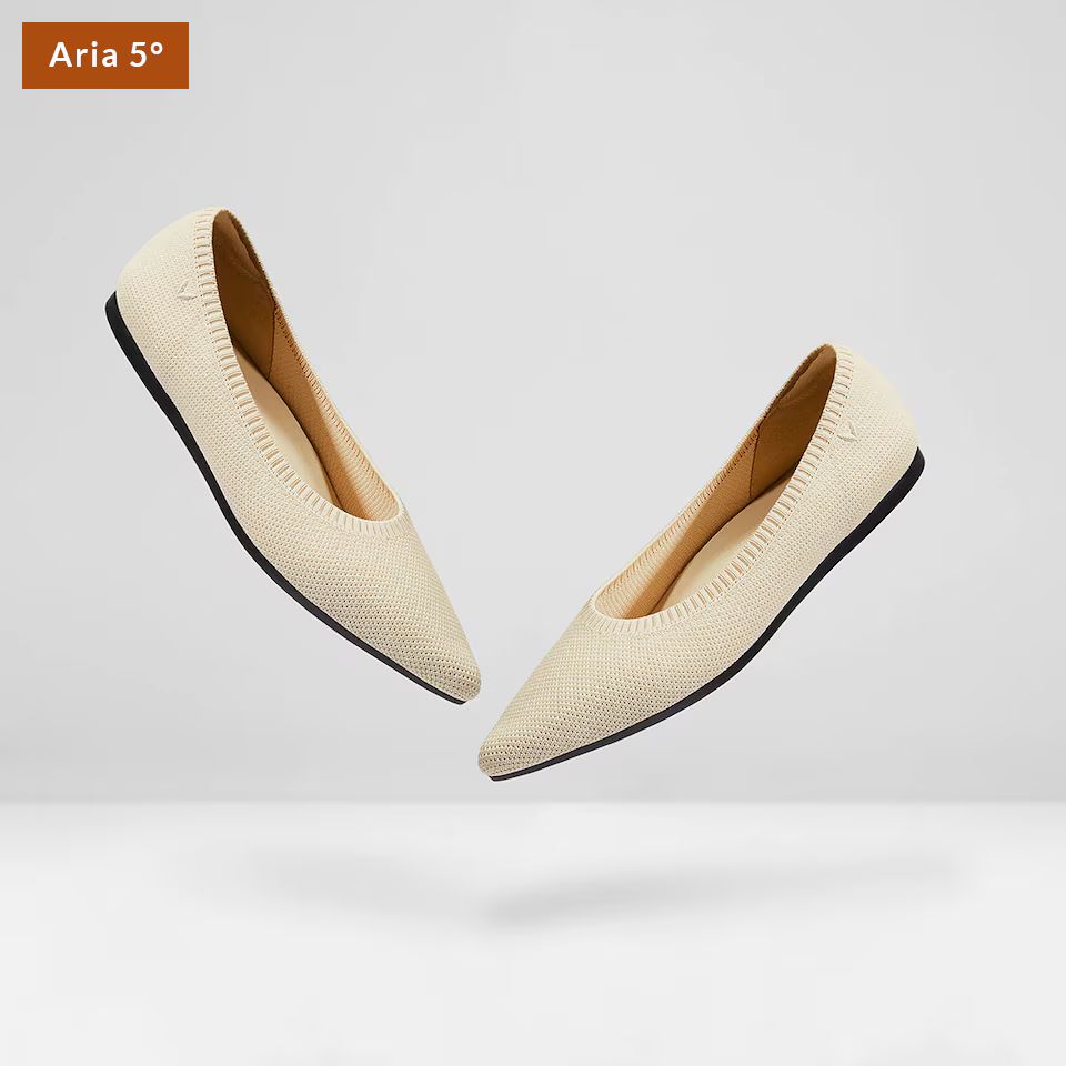 Pointed-Toe Ballet Flats (Aria 5°) | VIVAIA