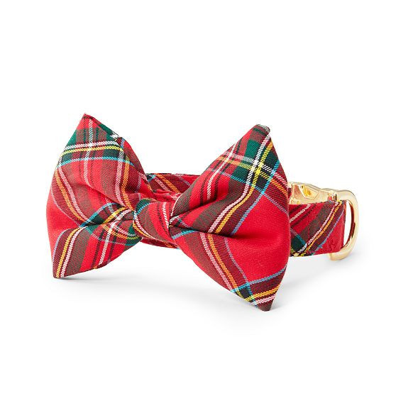 The Foggy Dog Bow Tie Collar, Small, Red Tartan | Mark and Graham