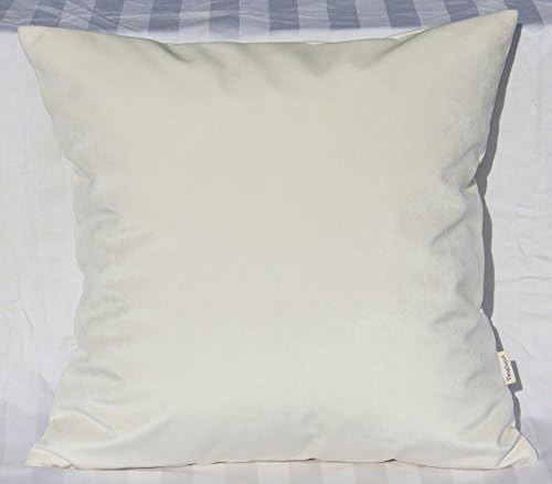 TangDepot Solid Velvet Throw Pillow Cover/Euro Sham/Cushion Sham, Super Luxury Soft Pillow Cases,... | Amazon (US)