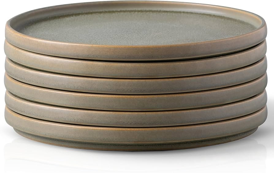 AmorArc Stoneware Dinner Plates Set of 6, 10.25 Inch Reactive Matte Glaze Ceramic Plates Set, Mod... | Amazon (US)