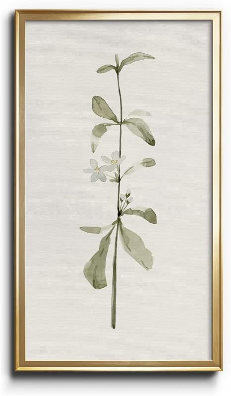 Renditions Gallery Early Blooms I Botanical Prints Flower Modern Wall Decoration 12x20 inches Gol... | Amazon (US)