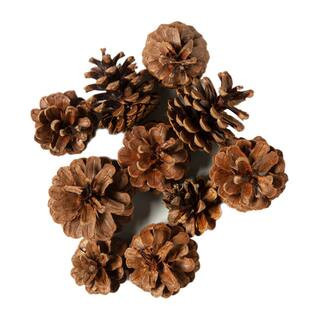 12 Pack: Pinecone Bag by Ashland® in Brown | Michaels® | Michaels Stores