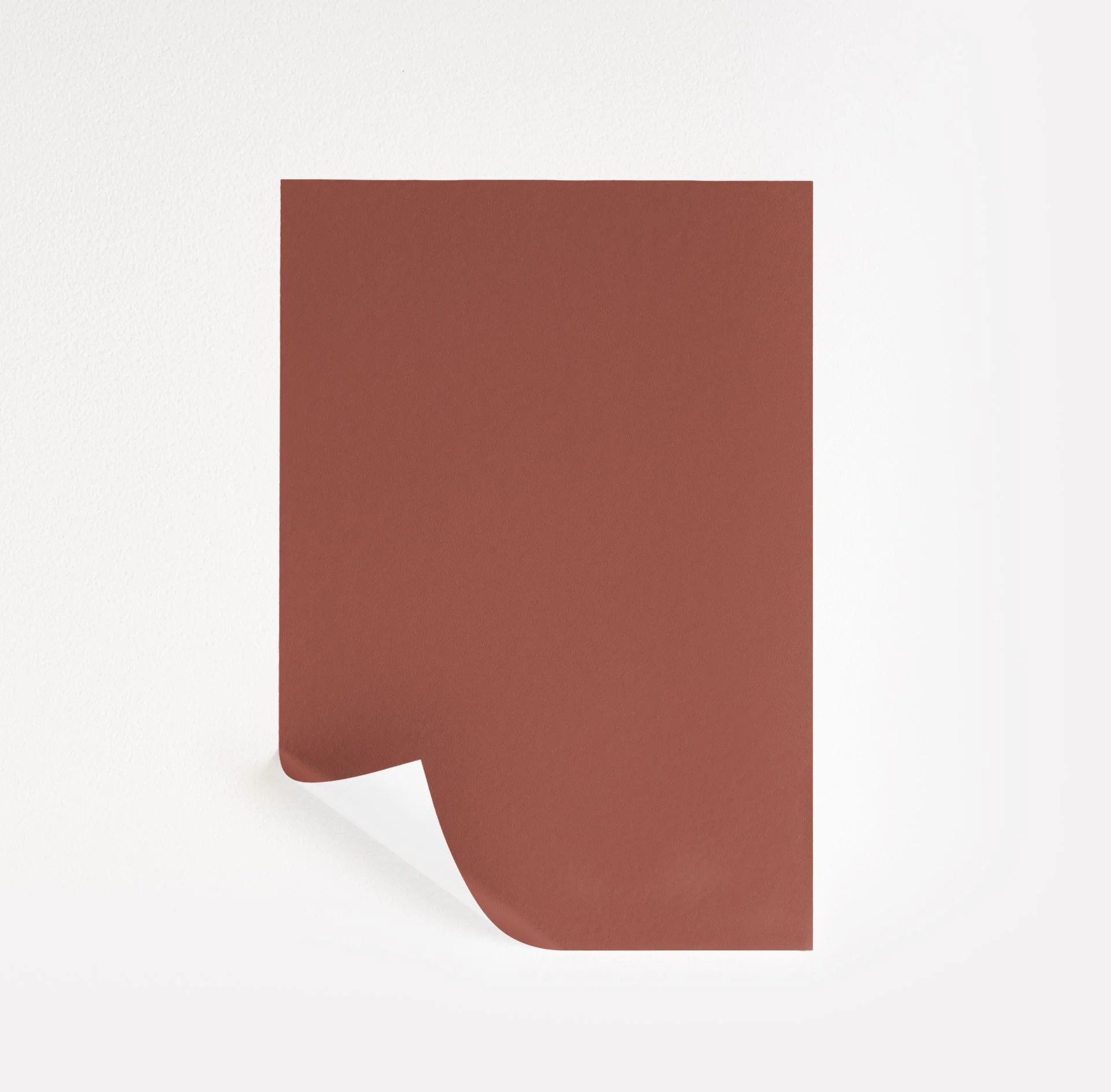 Warm Sienna Paint Sample by Benjamin Moore (1203) | Peel & Stick Paint Sample | Samplize