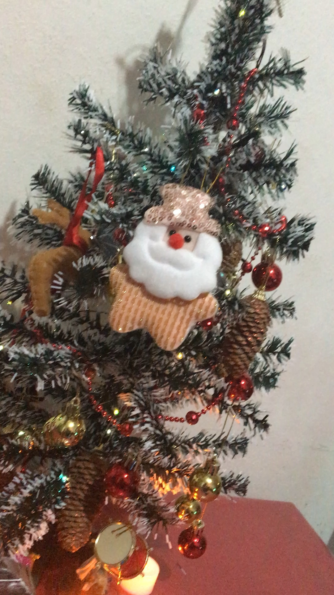 Oi oi gente!! Natal se aproximando e aqui já estamos a todo vapor com as preparações✨
Olha só como ficou a nossa árvore de natal 🎄 
Vocês já decoraram a sua casa?!

#LTKhome #LTKVideo #LTKbrasil