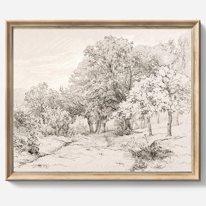 Vintage Wall art, Classical Sketch Poster Prints, Room Decor for Home Office Bedroom Living Room,... | Amazon (US)