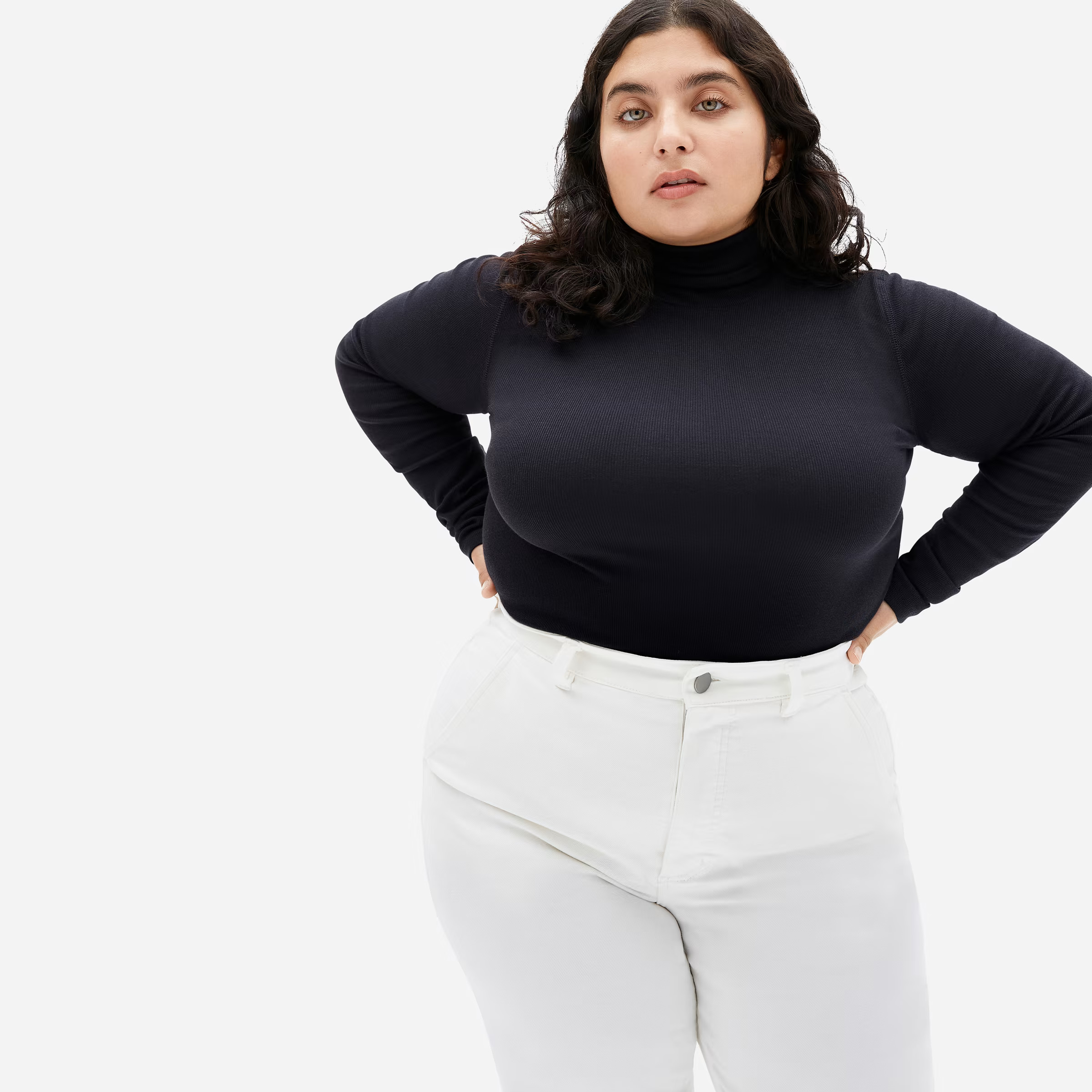 The Pima Micro-Rib Turtleneck | Everlane