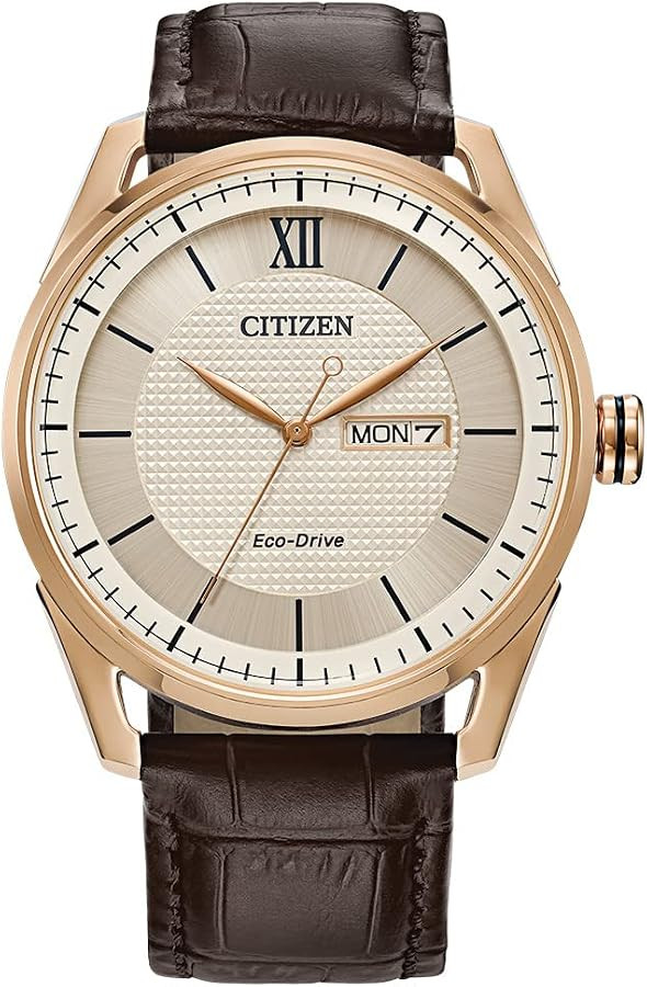 Citizen Men's Classic Eco-Drive Watch with 3-Hand Day and Date | Amazon (US)