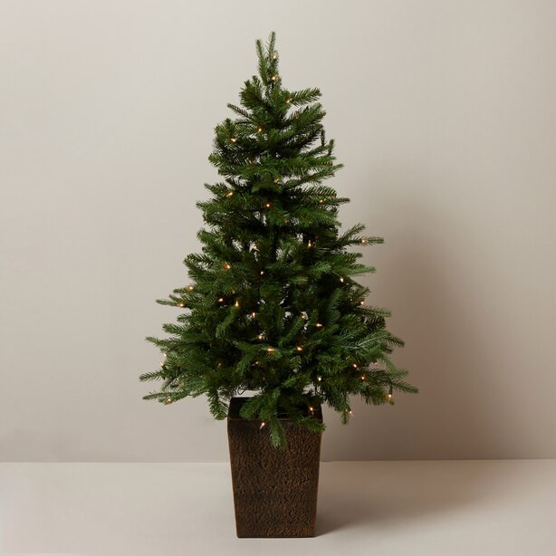 PRELIT 4' POTTED TREE | Indigo (CA)