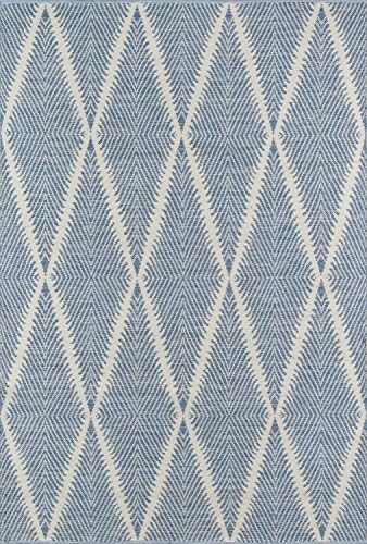 Erin Gates by Momeni River Beacon Denim Hand Woven Indoor Outdoor Area Rug 5' X 7'6", Model: | Amazon (US)