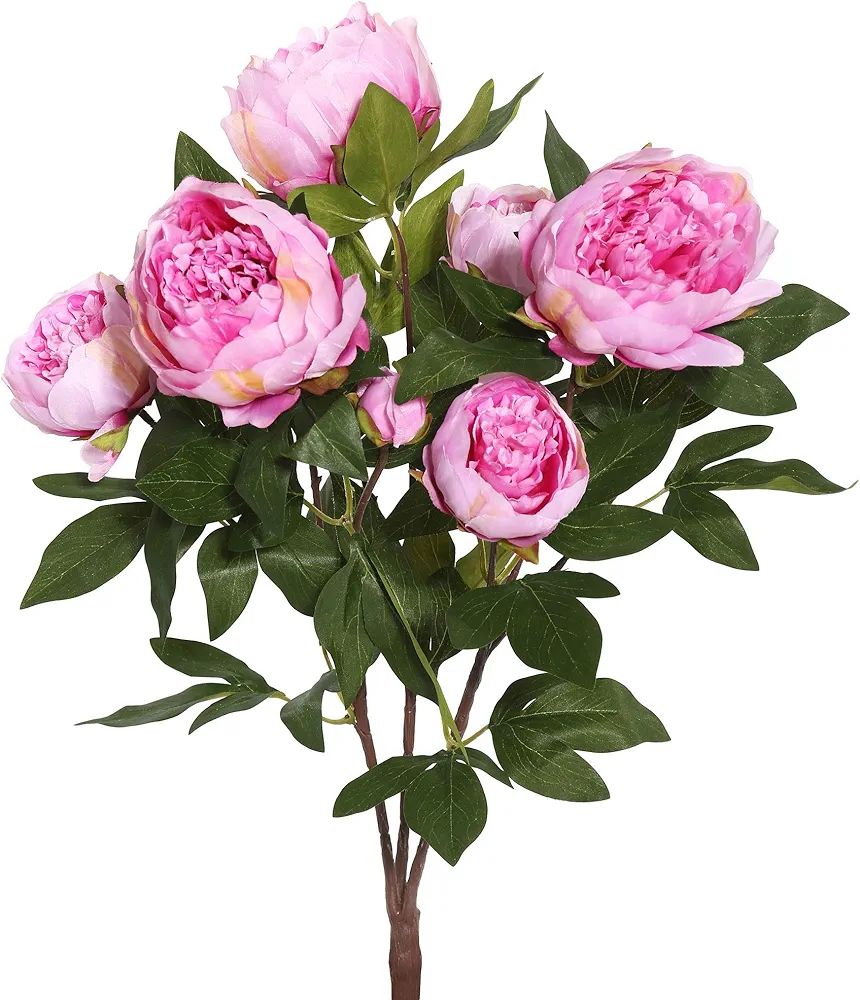 Vickerman 23'' Everyday Artificial Cerise Peony Bush - Faux Indoor Floral Arrangement - Lifelike ... | Amazon (US)