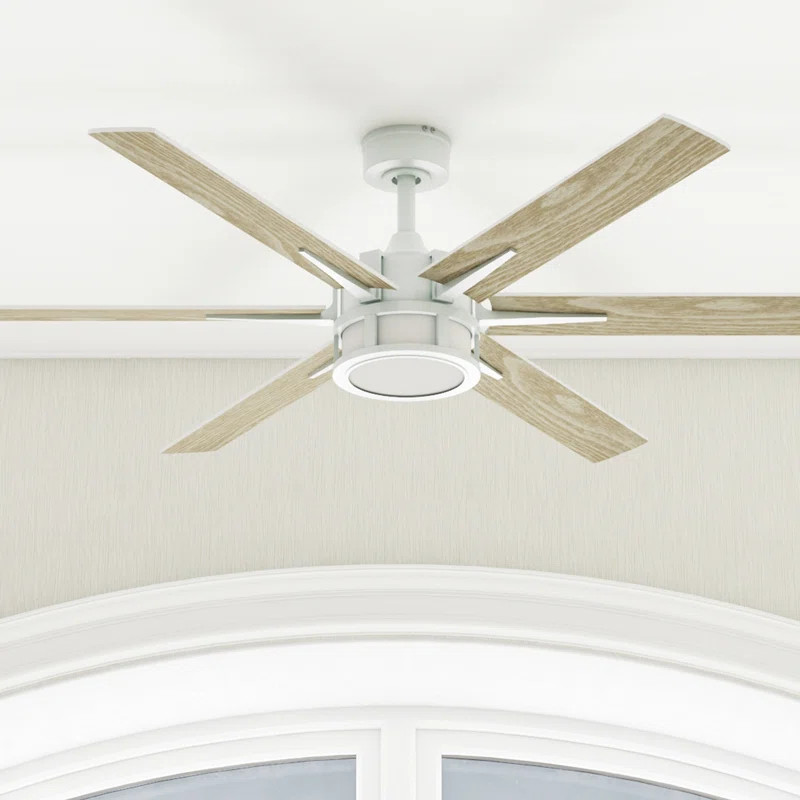 Kaliza 56'' Ceiling Fan with LED Lights and Remote Included | Wayfair North America