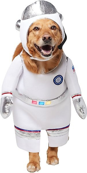 Frisco Front Walking LED Astronaut Dog & Cat Costume | Chewy.com
