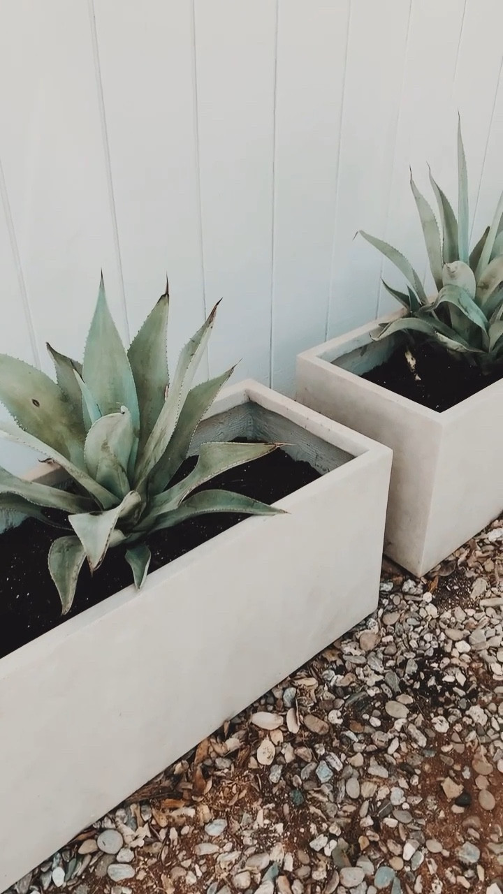 Pretty and modern outdoor planters! 

Summer time planters, outdoor pots, modern exterior, stone, concrete, plants

#LTKsalealert #LTKhome #LTKFind