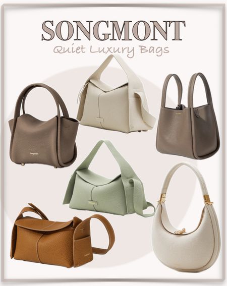 Songmont 

Quiet Luxury Quality bags

#LTKstyletip #LTKover40 #LTKitbag