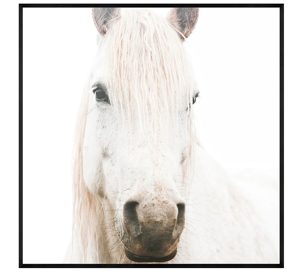 White on White Horse Framed Print by Jennifer Meyers | Pottery Barn (US)