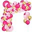 DIY Hot Pink Balloon Garland Kit - Rose Red Black Gold Balloon Arch Holder Tool 16Ft Mean Girls P... | Amazon (US)