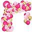 DIY Hot Pink Balloon Garland Kit - Rose Red Black Gold Balloon Arch Holder Tool 16Ft Mean Girls P... | Amazon (US)
