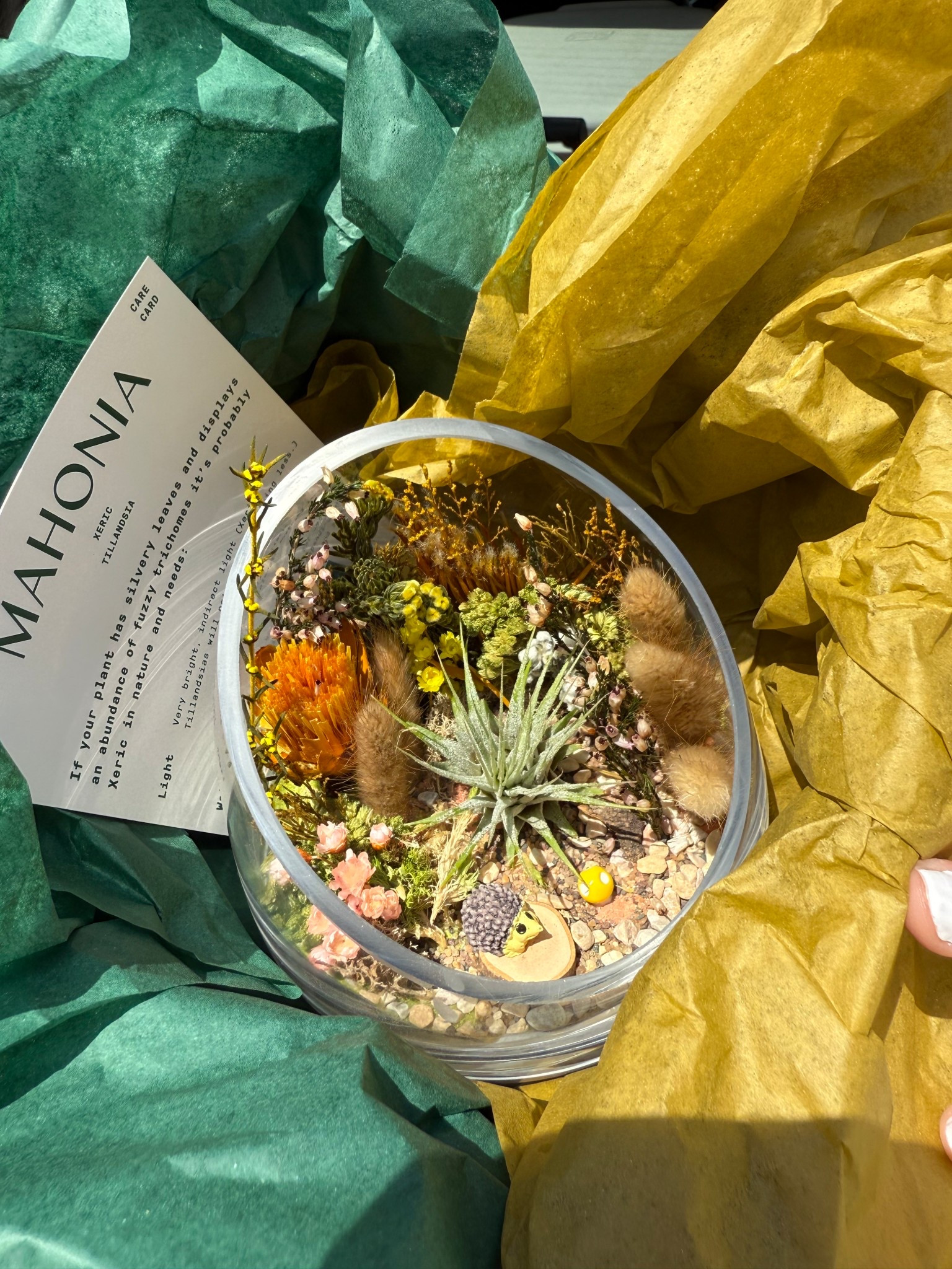 went to a terrarium workshop this weekend and officially making these a girls night activity !!! SOOO CUTE 

#LTKU #LTKHome #LTKSeasonal