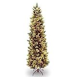 Amazon.com: National Tree Company Pre-lit Artificial Christmas Tree | Includes Pre-strung White L... | Amazon (US)
