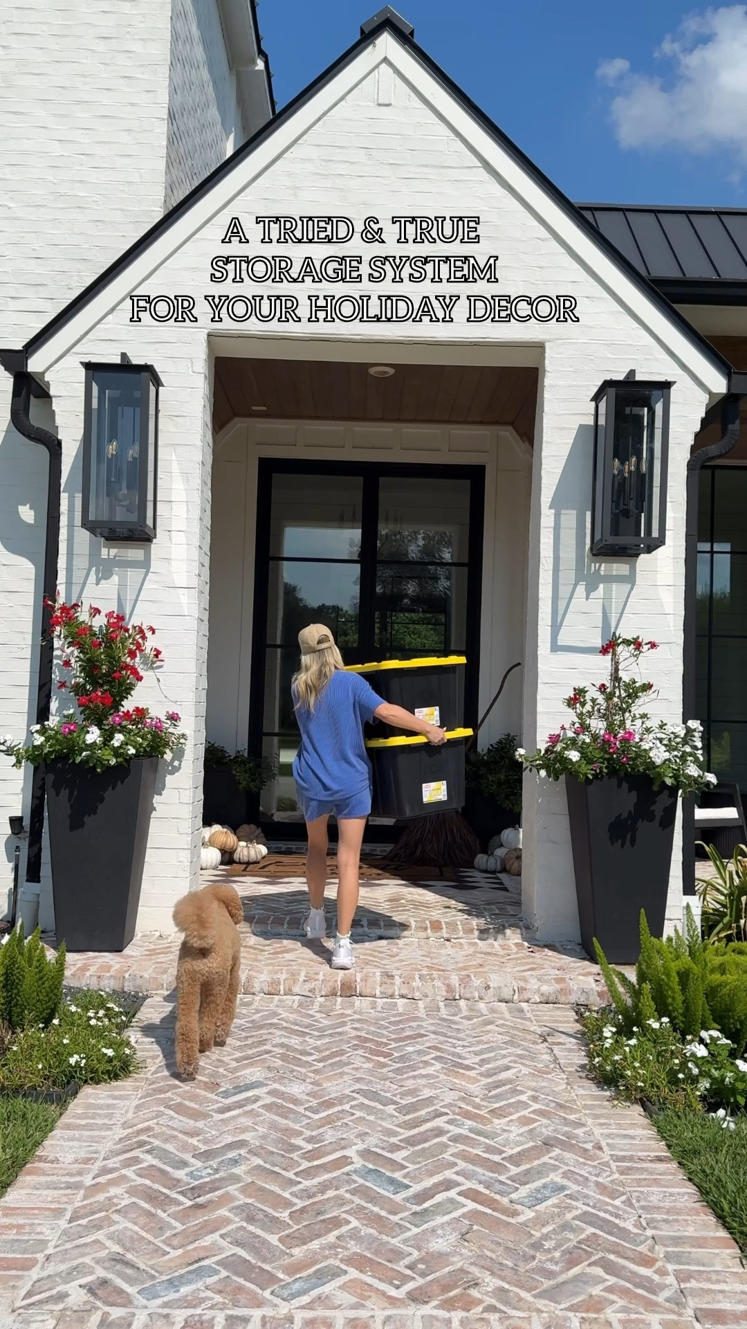 I tried and true storage solution for your holiday decor! 

Front porch  / holiday / Christmas / Christmas decor / holiday decor / fall decor / fall / garage / Storage

#LTKSaleAlert #LTKHome #LTKSeasonal