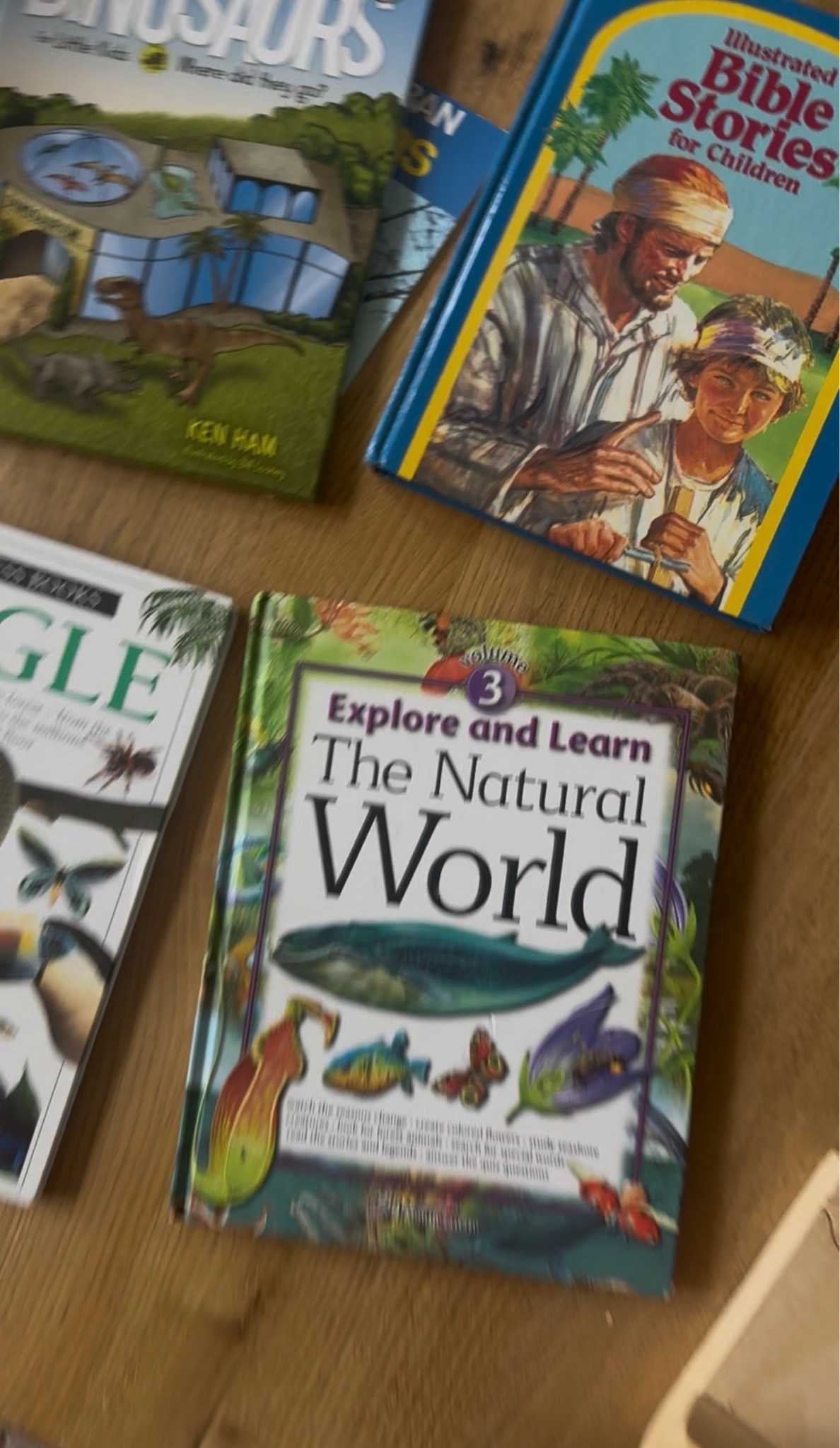 Bible based books I love for my kids🩵

#LTKmomlife #LTKKids #LTKstorytime