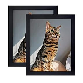 Picture Frame 8x10 Inch Set of 2... | Amazon (US)