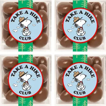 x Peanuts Chocolate Biscuits Set of 4 Candy Cubes | Nordstrom